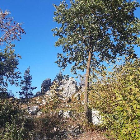 Haus Amann Apartman Prackenbach Kültér fotó